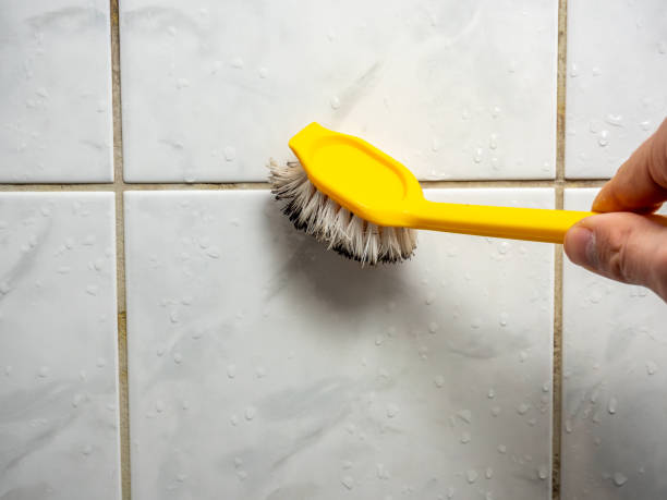 Best Health and Safety Mold Remediation in Three Rivers, CA