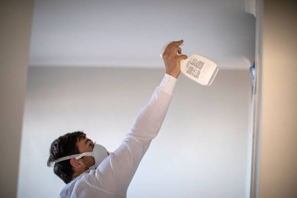 Best Post-Flood Mold Remediation in Three Rivers, CA